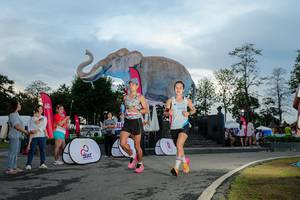 BIB: 
                            <button type="button" onclick="openModal(26529392)" class="btn btn-primary btn-sm float-right btn-popup" data-toggle="modal" data-target=".modal-high-quality">
                        <i class="fas fa-shopping-cart"></i> Add to Cart
                    </button>
                                            <button type="button" onclick="isThisMe(26529392, true)" class="btn btn-success btn-sm float-right btn-popup btn-isme hidden" data-toggle="tooltip" data-placement="bottom" title="นี่คือรูปของคุณใช่ไหม คลิกที่นี่เพื่อเอาเข้าอัลบั้ม">
                        <i class="fas fa-plus"></i> Add to album
                    </button>
                    <button type="button" onclick="isThisMe(26529392, false)" class="btn btn-warning btn-sm float-right btn-popup btn-isnotme hidden">
                        <i class="fas fa-ban"></i> Remove from album
                    </button>